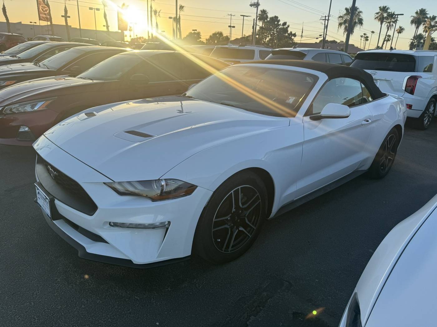 2023 Ford Mustang EcoBoost