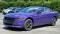 2023 Dodge Charger in Cortlandt Manor, NY 1 - Open Gallery