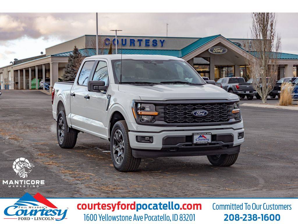 2025 Ford F-150 STX