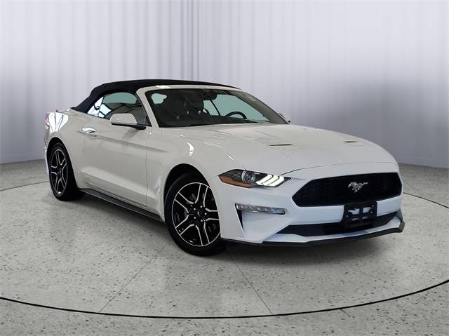 2023 Ford Mustang EcoBoost Premium — Convertible — 51,215 mi — Kalamazoo, MI