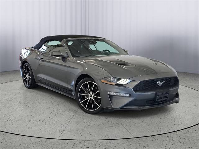 2022 Ford Mustang EcoBoost — Convertible — 49,700 mi — Kalamazoo, MI