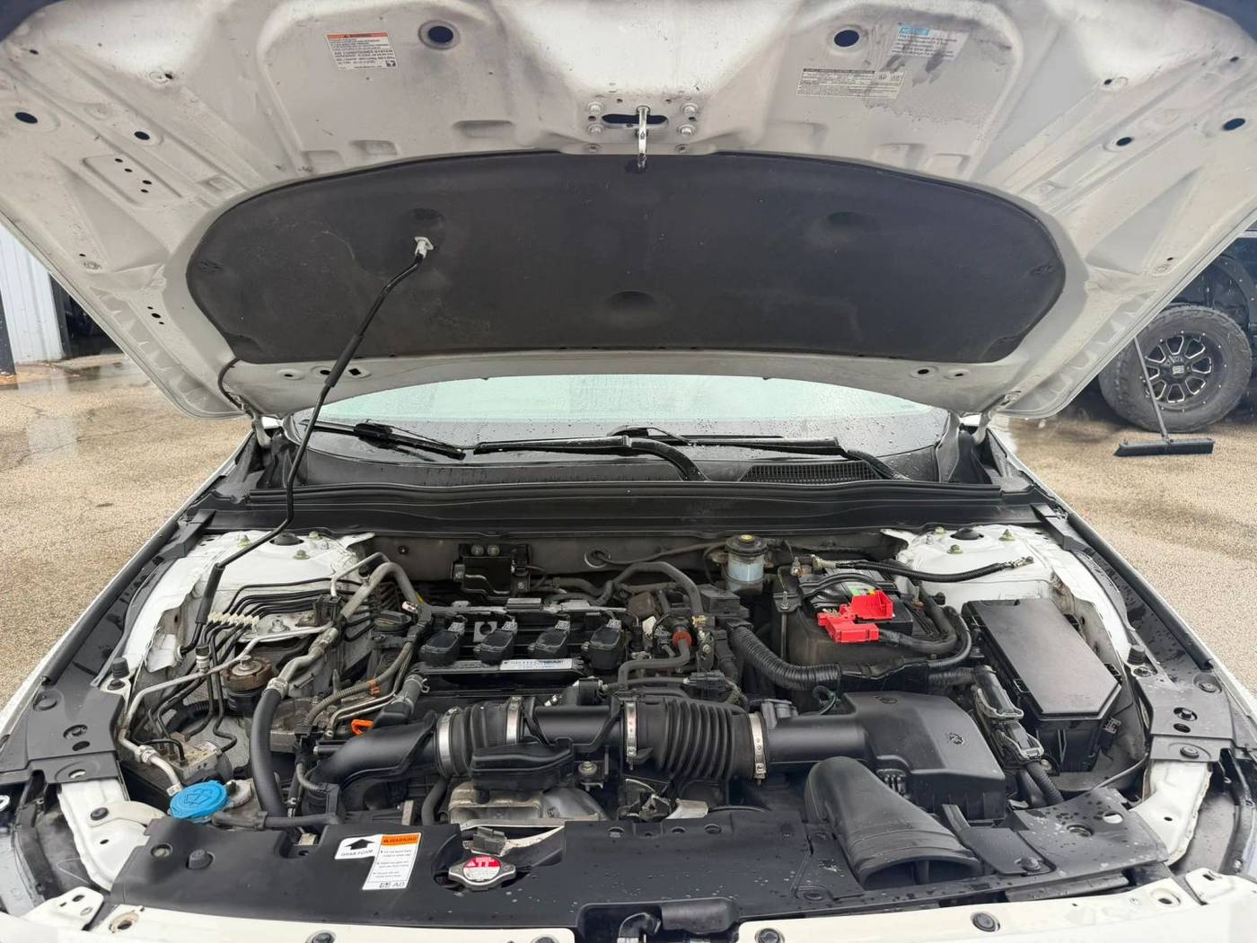Photo 28