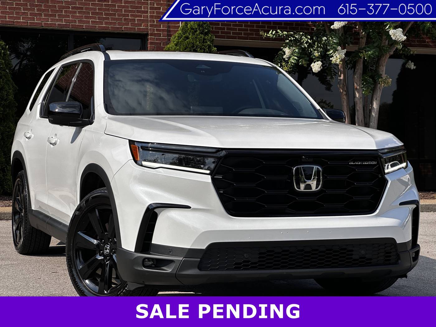 2025 Honda Pilot Black Edition — SUV — 12,283 mi — Brentwood, TN