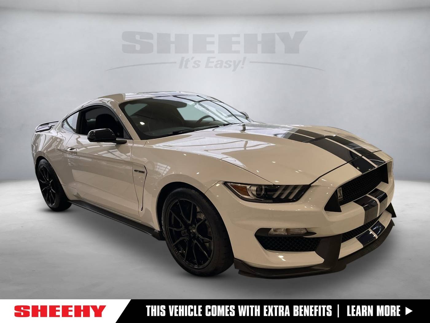 2019 Ford Mustang Shelby GT350 — Coupe — 25,122 mi — Annapolis, MD