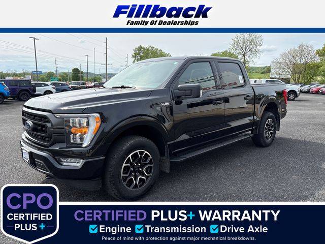 2023 Ford F-150
