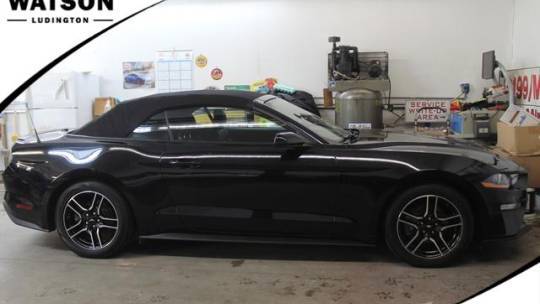 2022 Ford Mustang EcoBoost — Convertible — 50,370 mi — Ludington, MI