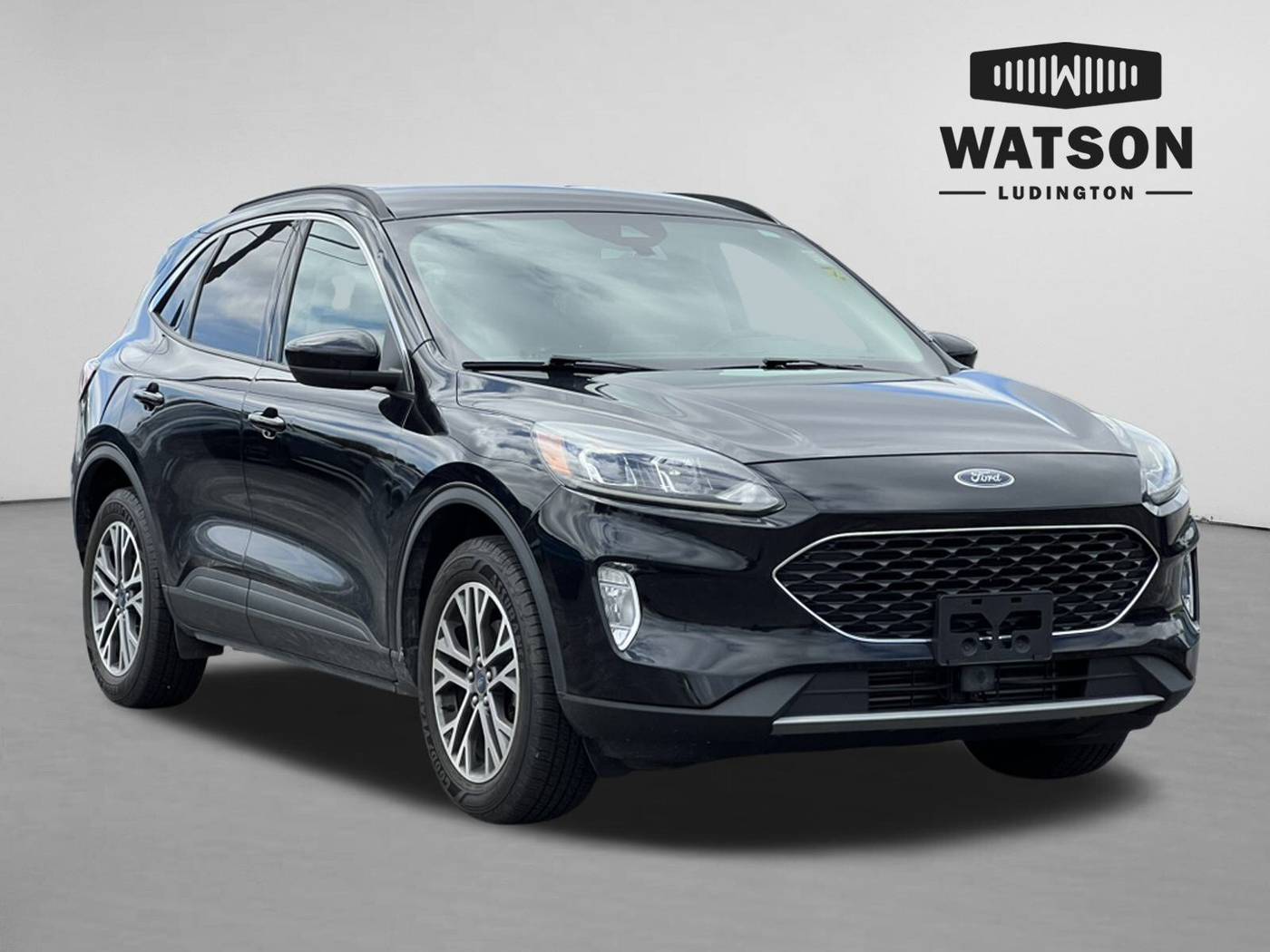 2020 Ford Escape SEL — SUV — 56,258 mi — Ludington, MI