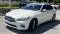 2024 INFINITI Q50 in Bluffton, SC 4 - Open Gallery