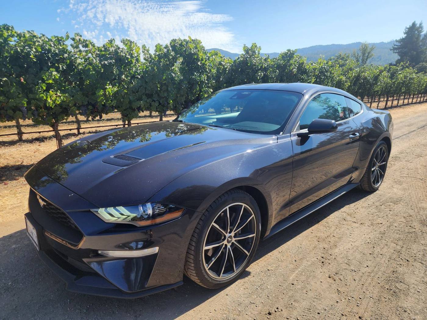 2022 Ford Mustang EcoBoost — Coupe — 82,163 mi — Saint Helena, CA