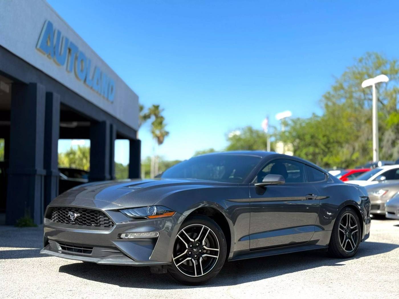 2019 Ford Mustang EcoBoost Premium — Coupe — 33,176 mi — Jacksonville, FL