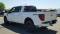 2024 Ford F-150 in Rising Sun, MD 3 - Open Gallery