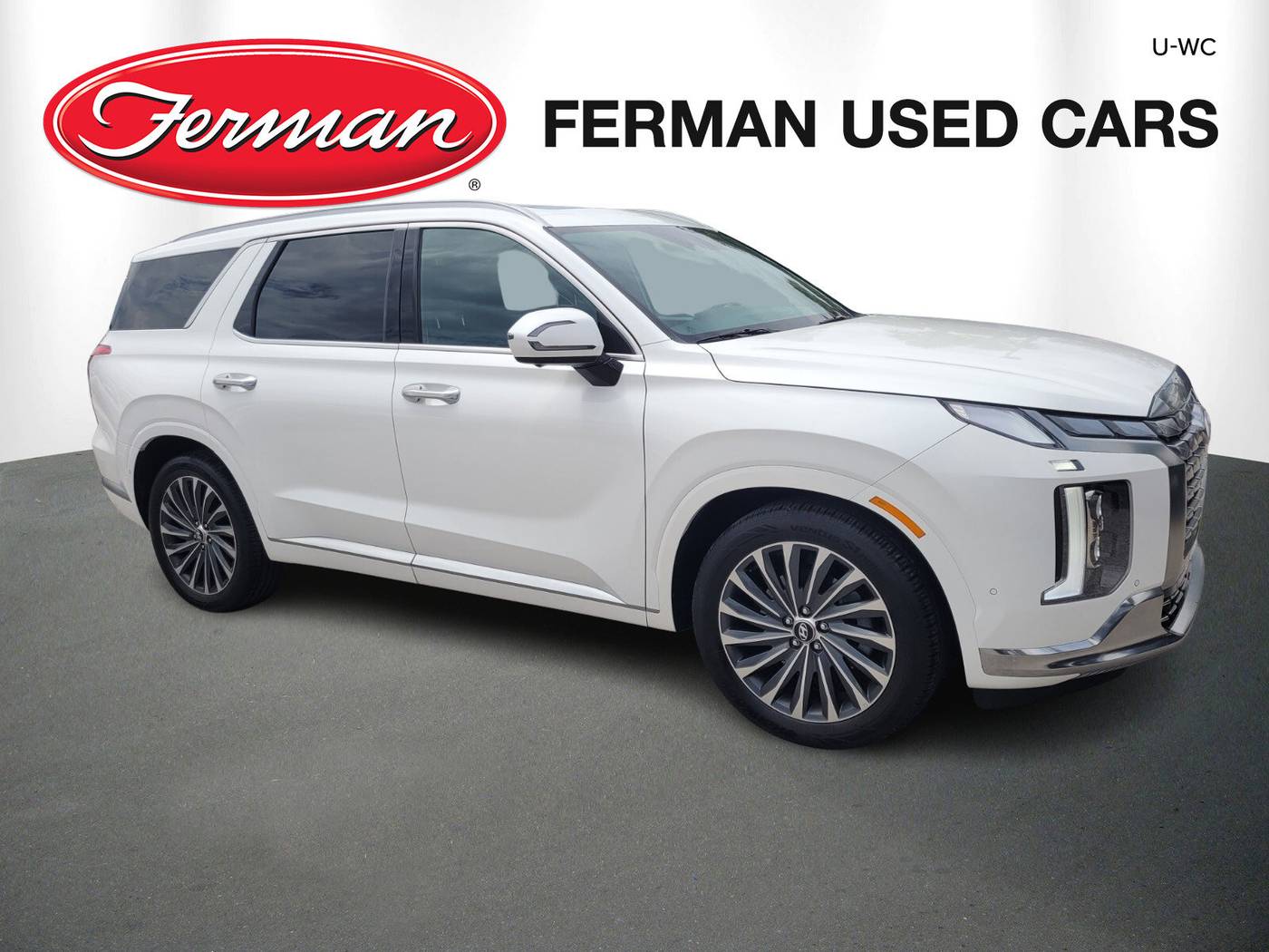 2024 Hyundai Palisade Calligraphy — SUV — 15,733 mi — Lutz, FL
