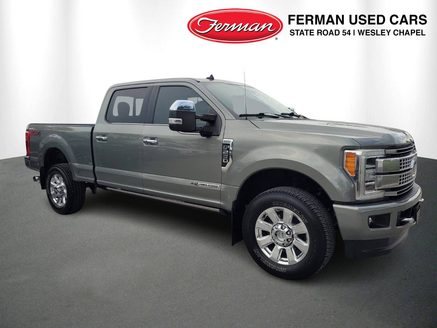 2019 Ford Super Duty F-250 Platinum — Pickup Truck — 87,865 mi — Lutz, FL