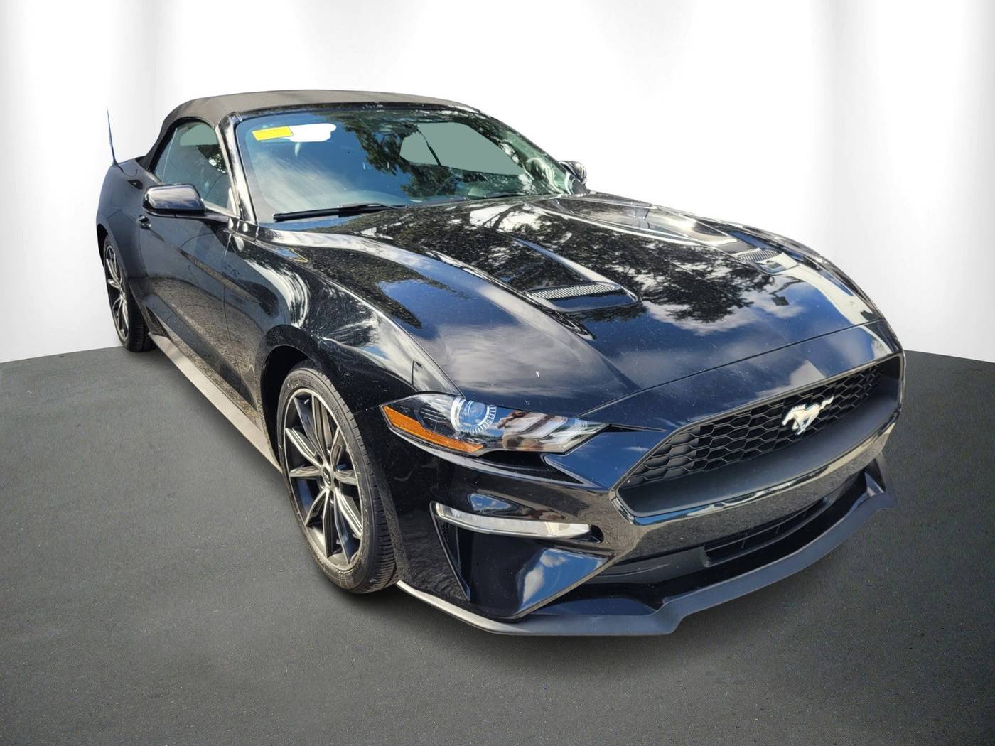 2019 Ford Mustang EcoBoost Premium — Convertible — 56,208 mi — Lutz, FL