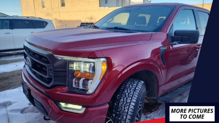 2021 Ford F-150 XLT — Pickup Truck — 57,558 mi — Devils Lake, ND