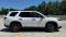 2025 Honda Pilot in Jacksonville, FL 4 - Open Gallery