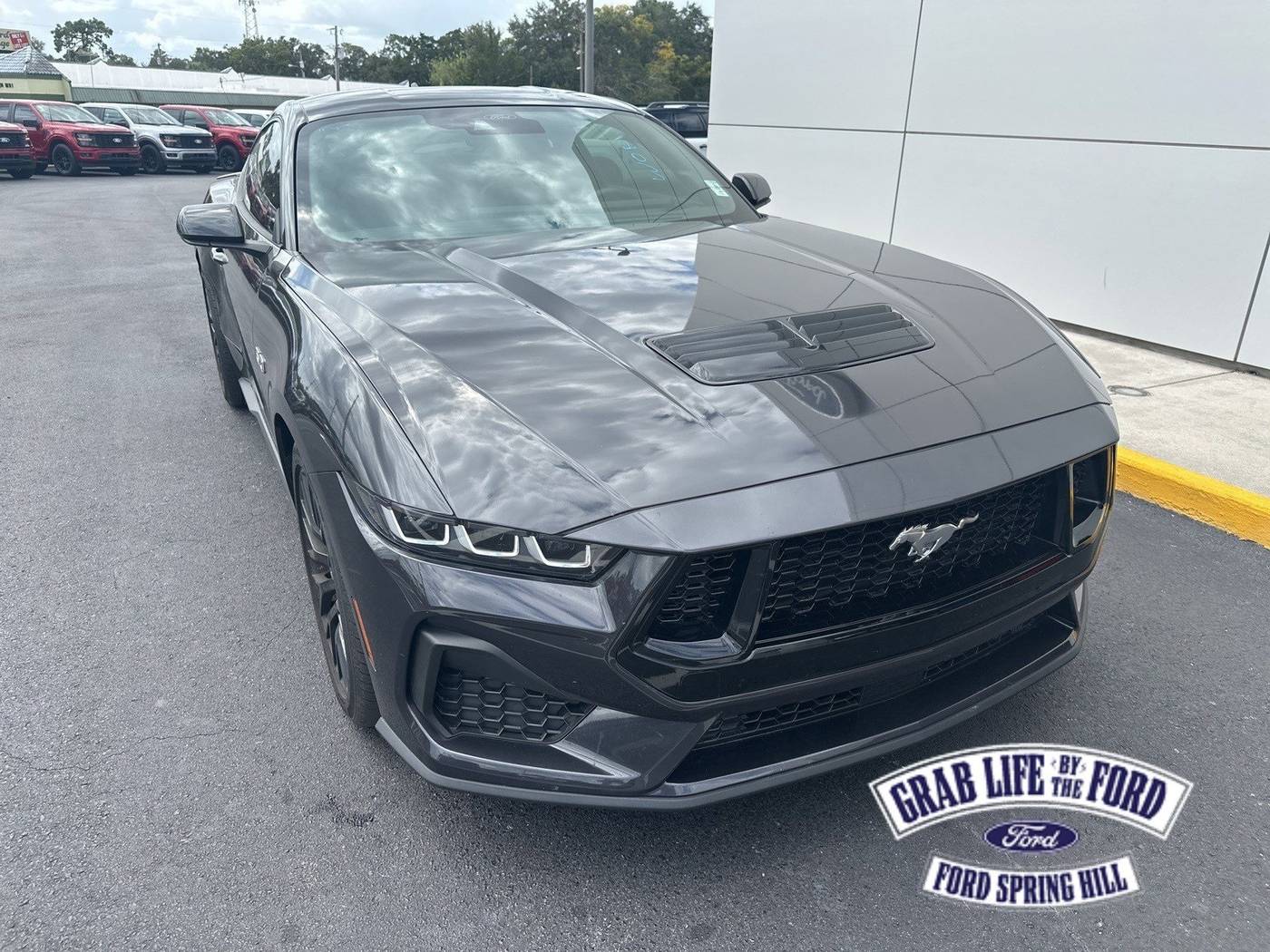 2024 Ford Mustang GT Premium — Coupe — 5,001 mi — Spring Hill, FL