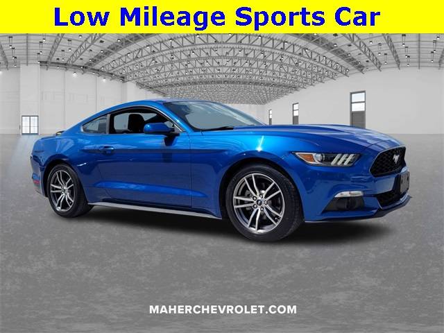 2017 Ford Mustang EcoBoost — Coupe — 30,031 mi — Saint Petersburg, FL