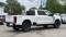 2024 Ford Super Duty F-350 in Manteno, IL 3 - Open Gallery