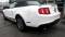 2012 Ford Mustang in HAVERHILL, MA 4 - Open Gallery