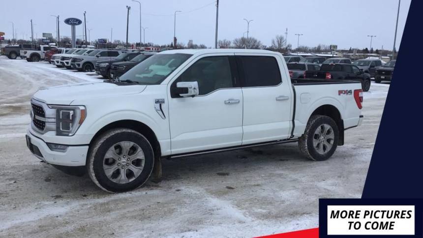 2021 Ford F-150 Platinum — Pickup Truck — 133,927 mi — Devils Lake, ND