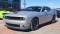 2023 Dodge Challenger in Albuquerque, NM 5 - Open Gallery