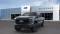 2024 Ford Super Duty F-250 in Ellisville, MO 4 - Open Gallery