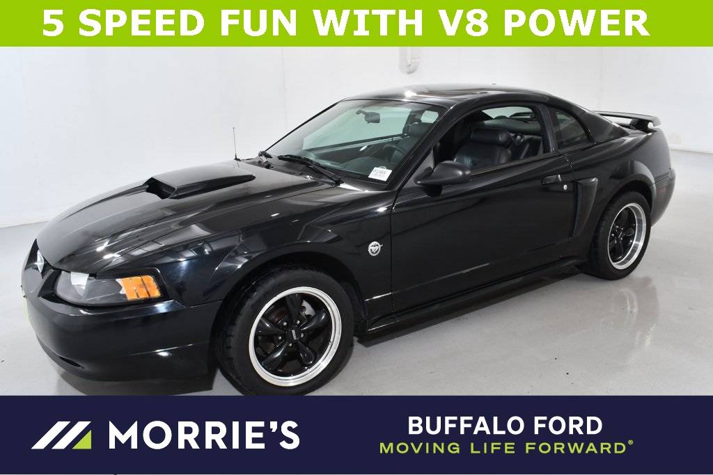 2004 Ford Mustang GT Deluxe — Coupe — 104,159 mi — Buffalo, MN