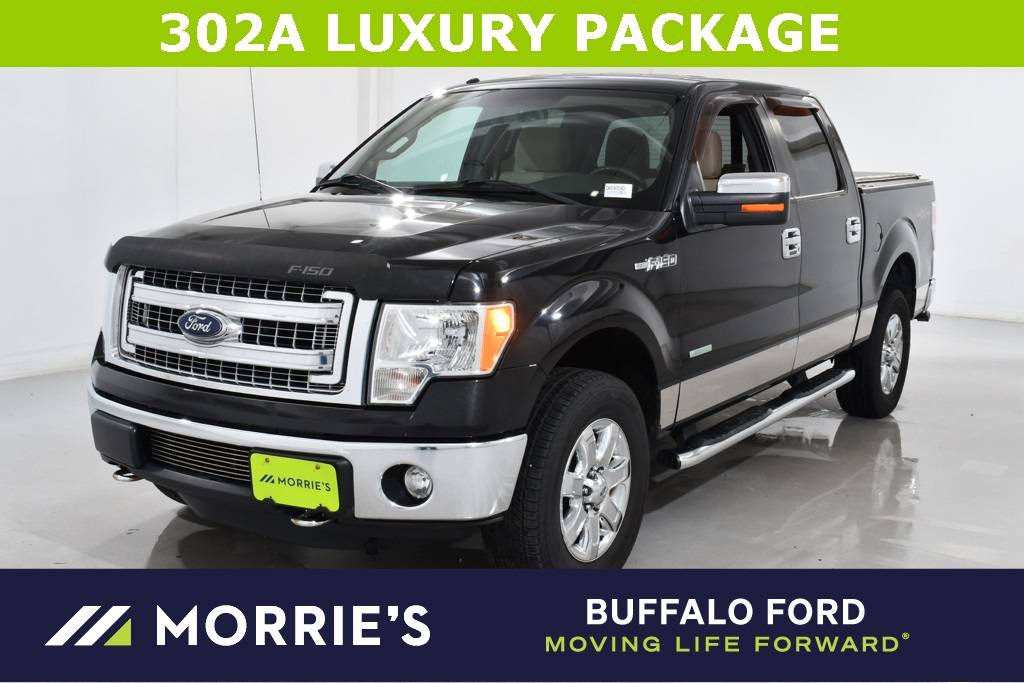 2013 Ford F-150 XLT — Pickup Truck — 207,519 mi — Buffalo, MN