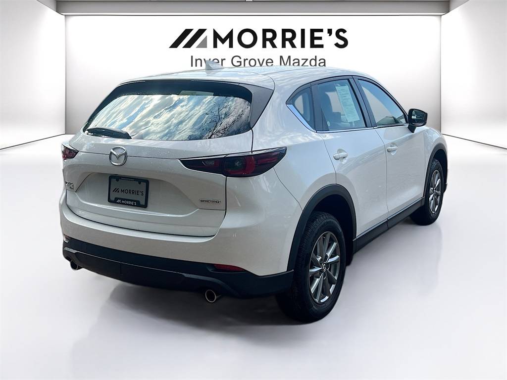 Thumbnail 5