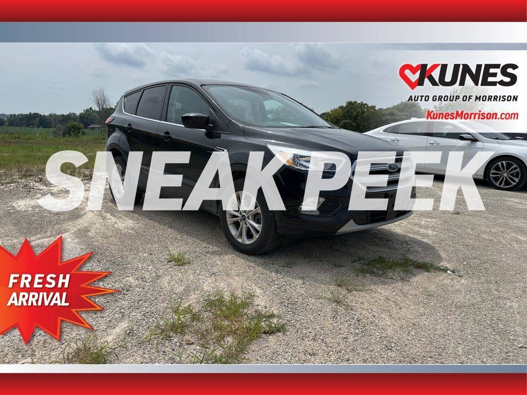 2019 Ford Escape SE — SUV — 95,054 mi — Morrison, IL