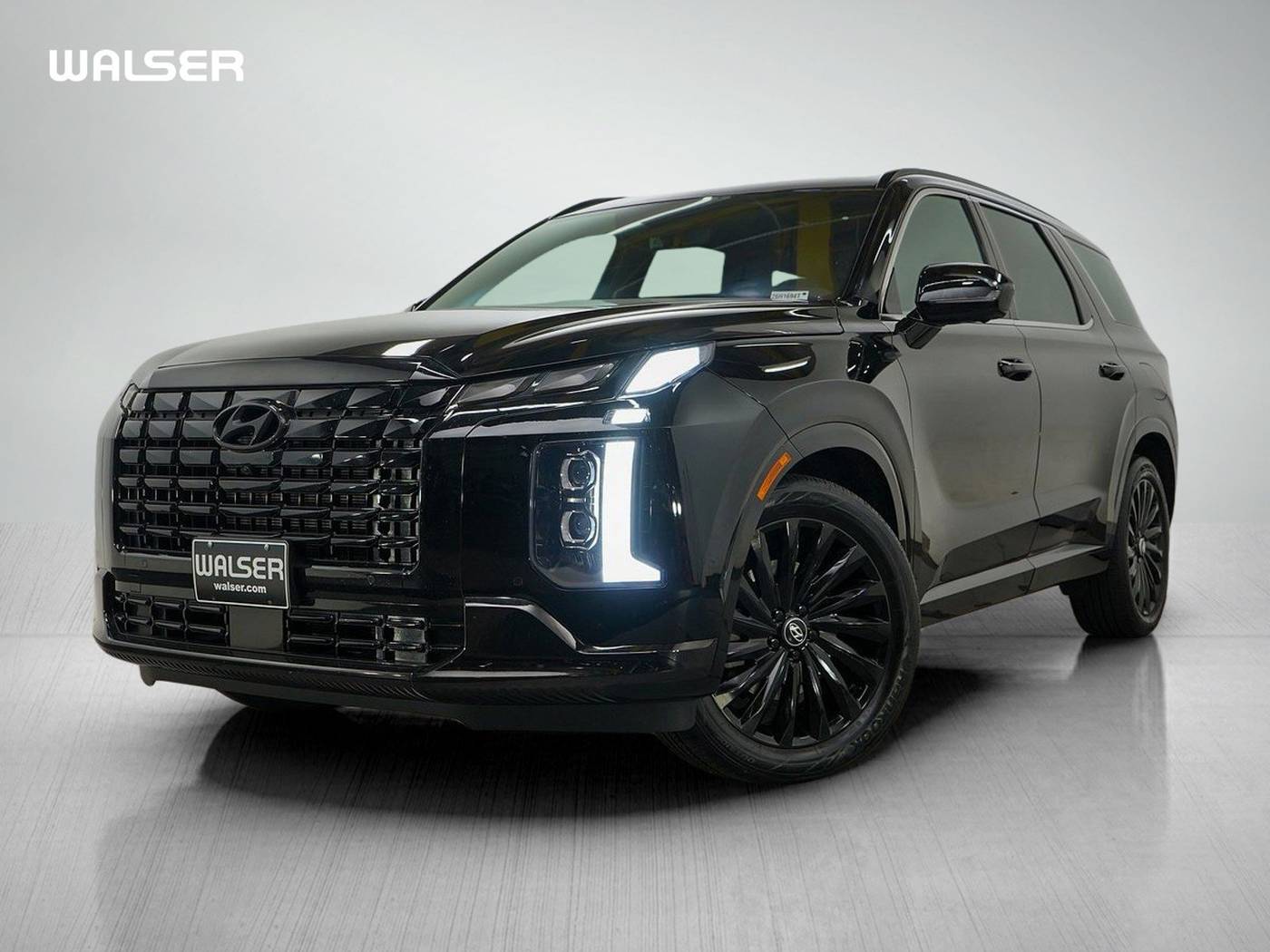 2025 Hyundai Palisade Calligraphy Night Edition — SUV — 16,680 mi — Coon Rapids, MN