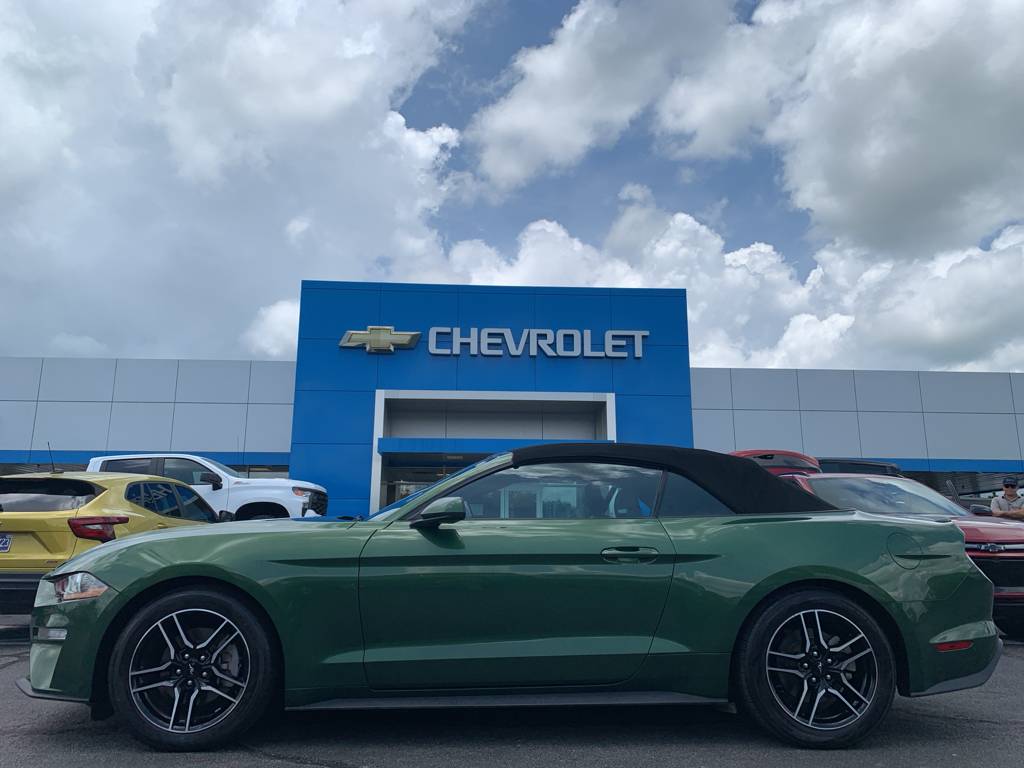 2023 Ford Mustang EcoBoost Premium — Convertible — 46,668 mi — Jefferson City, TN