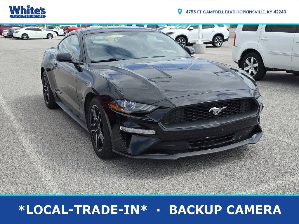 2019 Ford Mustang EcoBoost — Coupe — 89,183 mi — Hopkinsville, KY