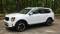 2024 Kia Telluride in Bluffton, SC 4 - Open Gallery