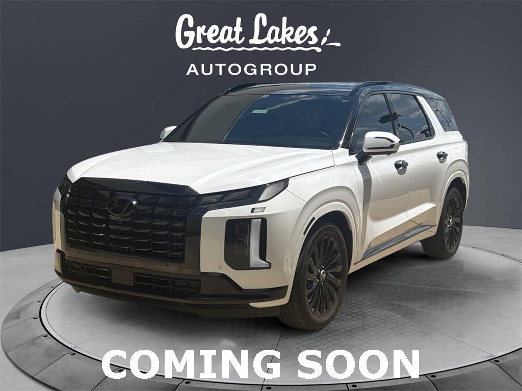 2024 Hyundai Palisade Calligraphy Night Edition — SUV — 18,868 mi — Columbus, OH