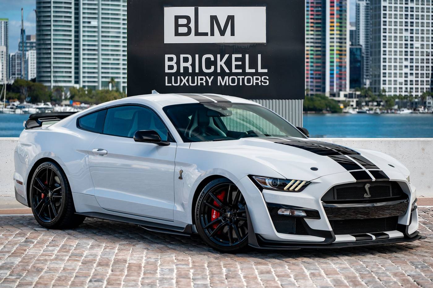 2022 Ford Mustang Shelby GT500