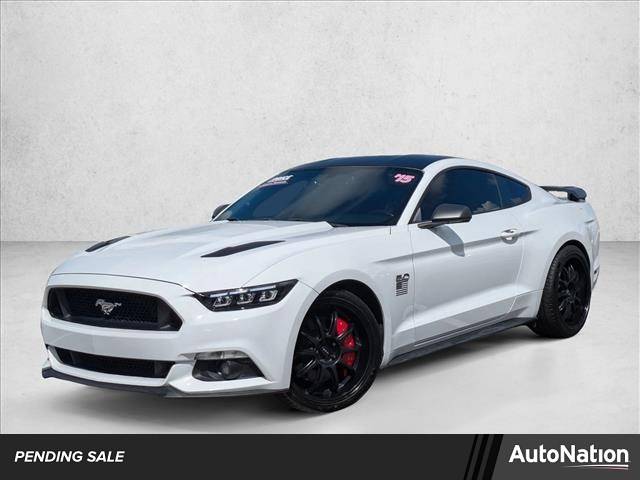 2015 Ford Mustang GT — Coupe — 108,930 mi — Lutz, FL