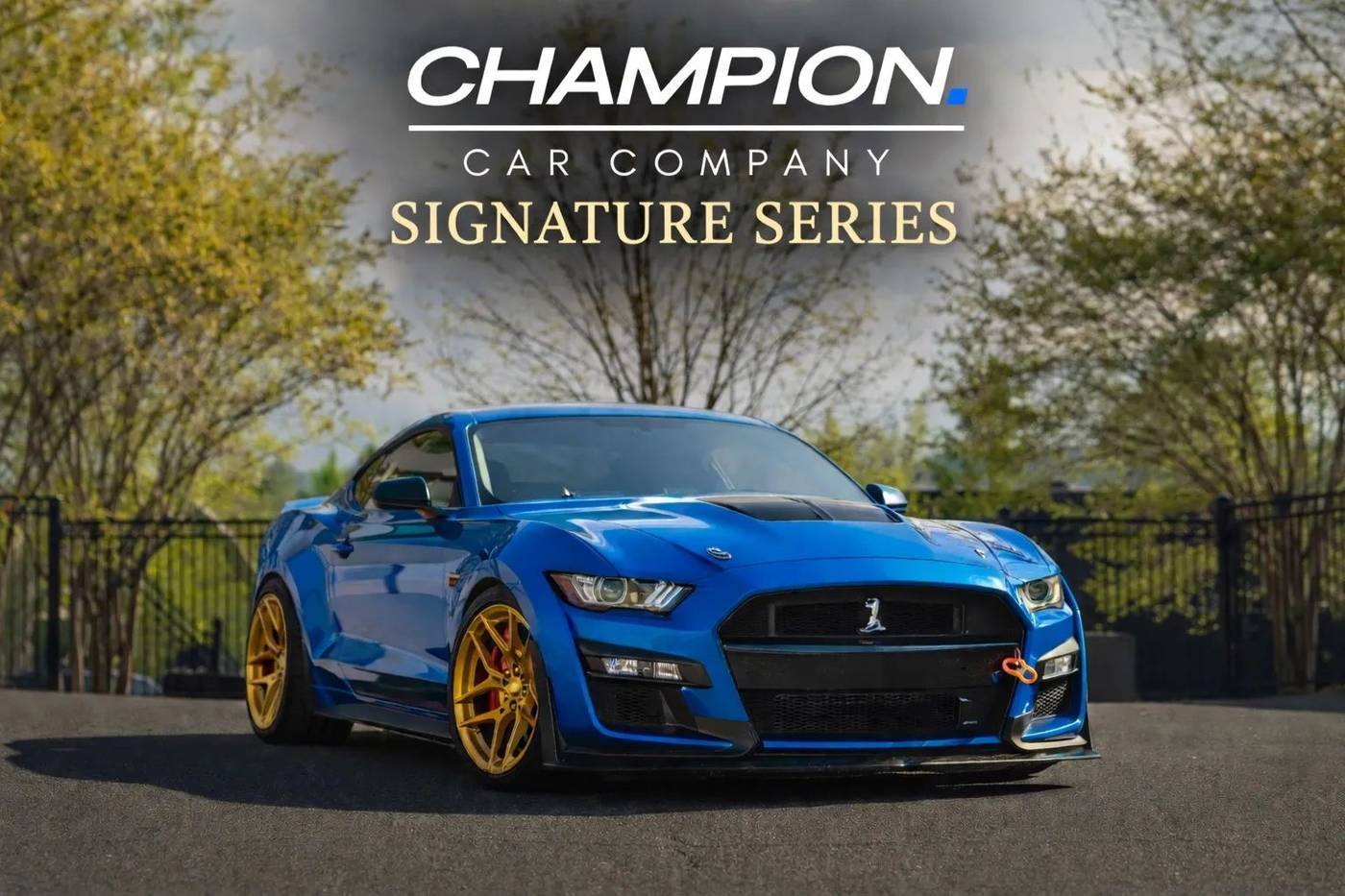 2020 Ford Mustang Shelby GT500