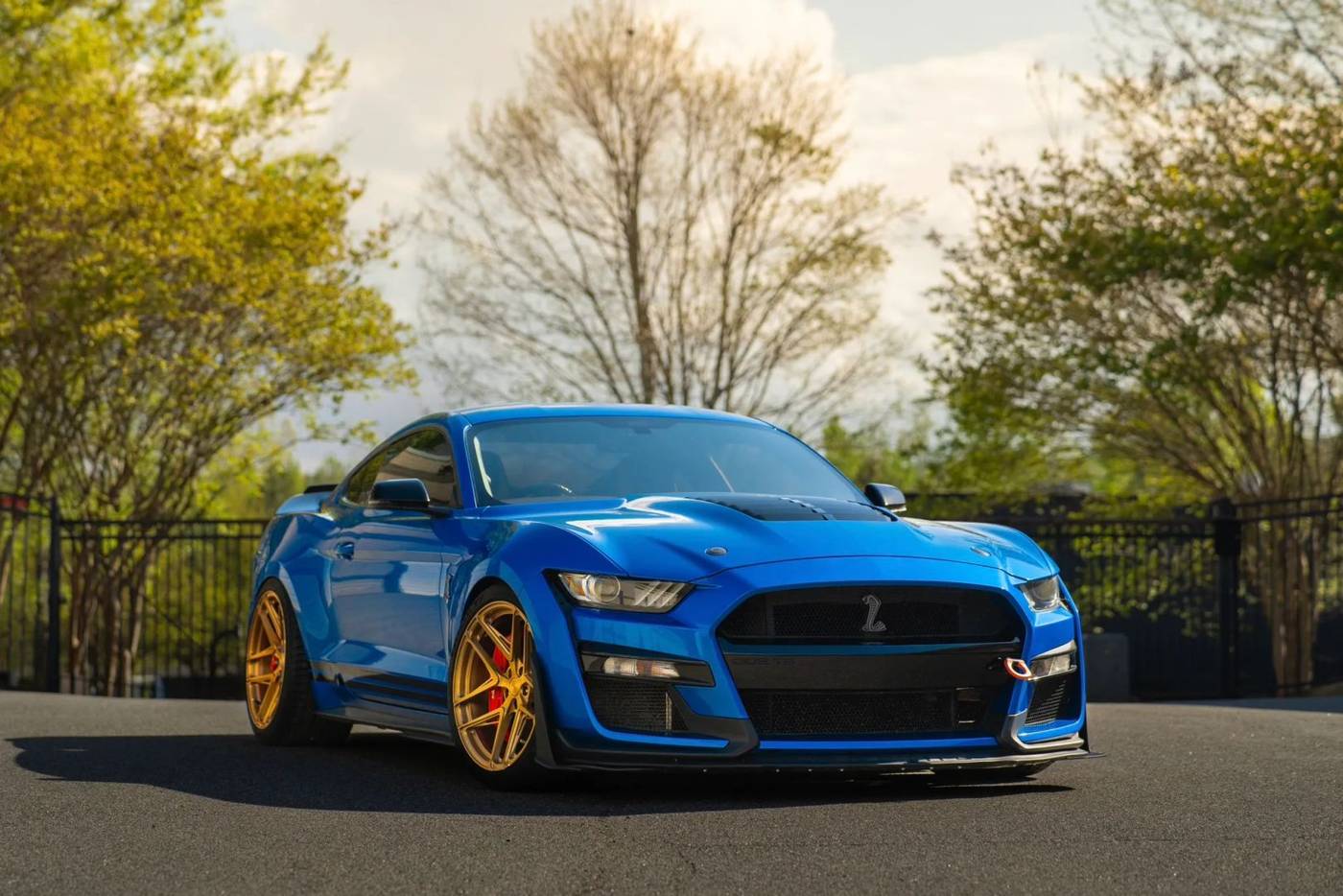 2020 Ford Mustang Shelby GT500