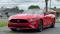 2021 Ford Mustang in Bordentown, NJ 1 - Open Gallery