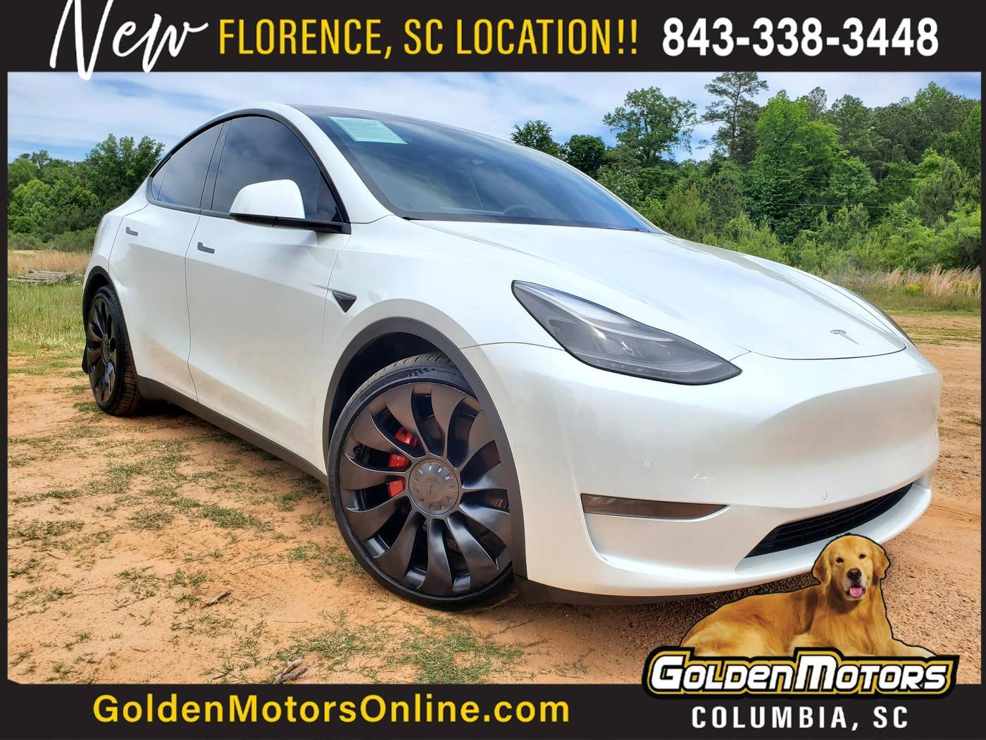 2022 Tesla Model Y Performance