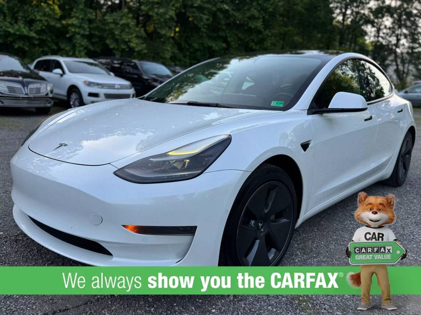 2021 Tesla Model 3 Standard Range Plus — Sedan — 98,499 mi — Spotsylvania, VA
