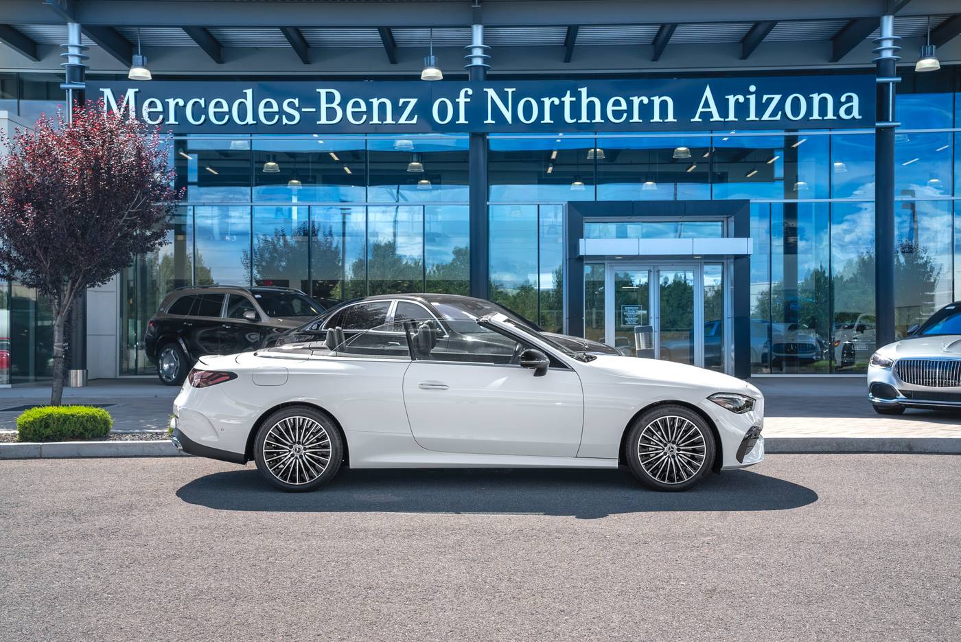 2024 Mercedes-Benz CLE CLE 300 — Convertible — 5 mi — Flagstaff, AZ