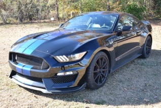 Used Ford Mustang For Sale In Clio Sc 91 Used Mustang