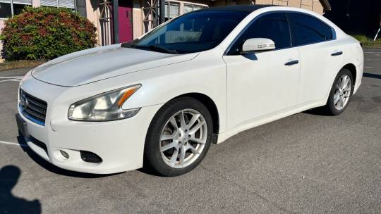 2011 white maxima