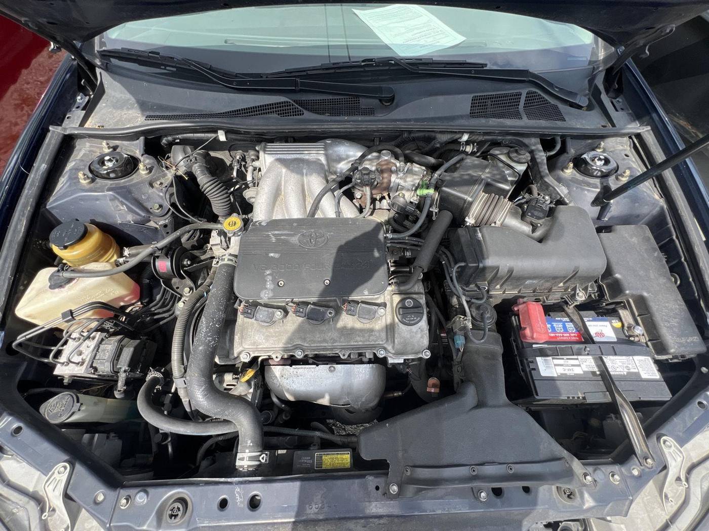 Photo 6