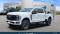 2024 Ford Super Duty F-250 in Lakewood, CO 1 - Open Gallery