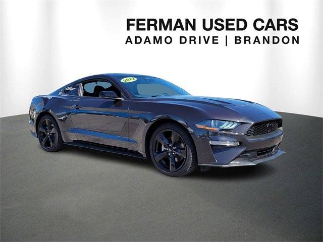 2022 Ford Mustang EcoBoost — Coupe — 32,300 mi — Tampa, FL