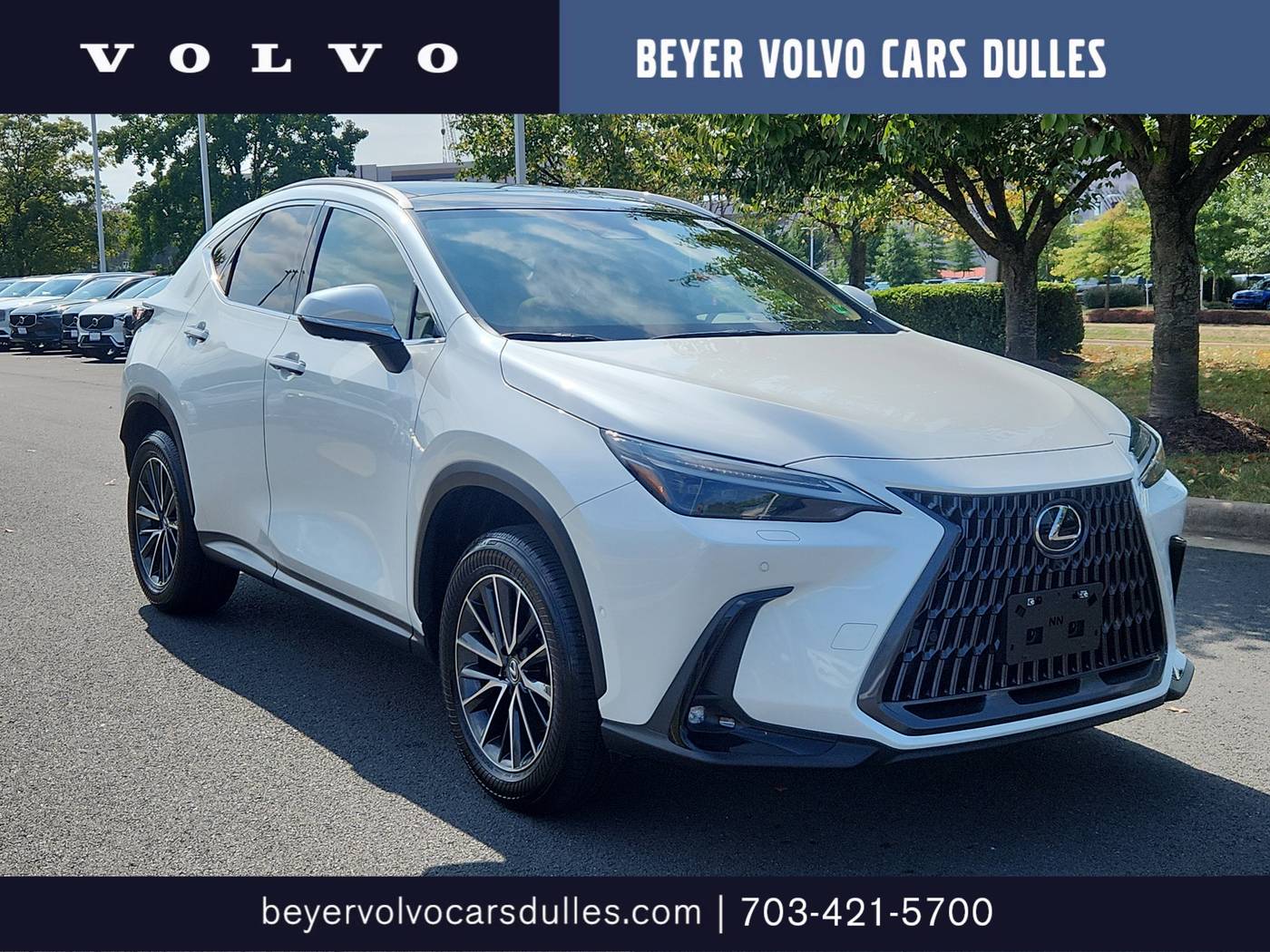2025 Lexus NX NX 350h Luxury — SUV — 12,677 mi — Dulles, VA